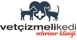 Vet Çizmeli Kedi Veteriner Kliniği